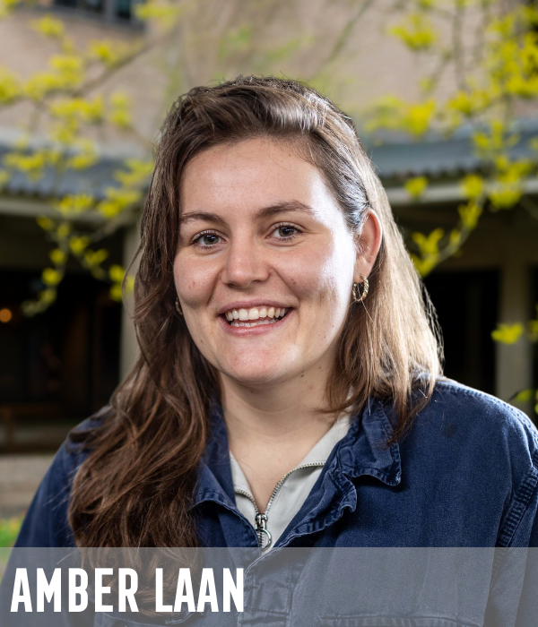 Amber